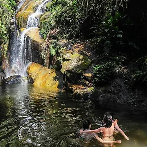 https://um-paraiso-na-vila-da-gloria.santa-catarina-brasil.com